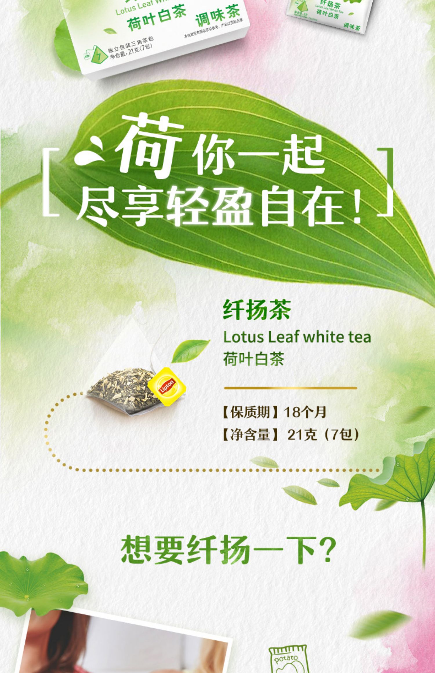 Lipton立顿纤扬茶白荷叶茶独立袋