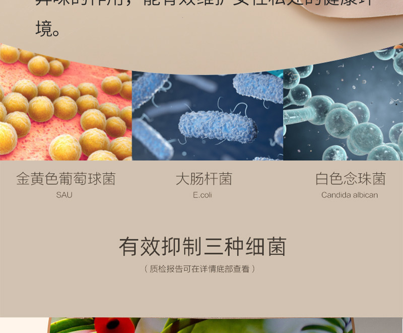 THREEGUN 三枪 紫杉醇净化抗菌裆 发热棉女式内裤 3条装 天猫优惠券折后¥59包邮(¥99-40)多色组合可选