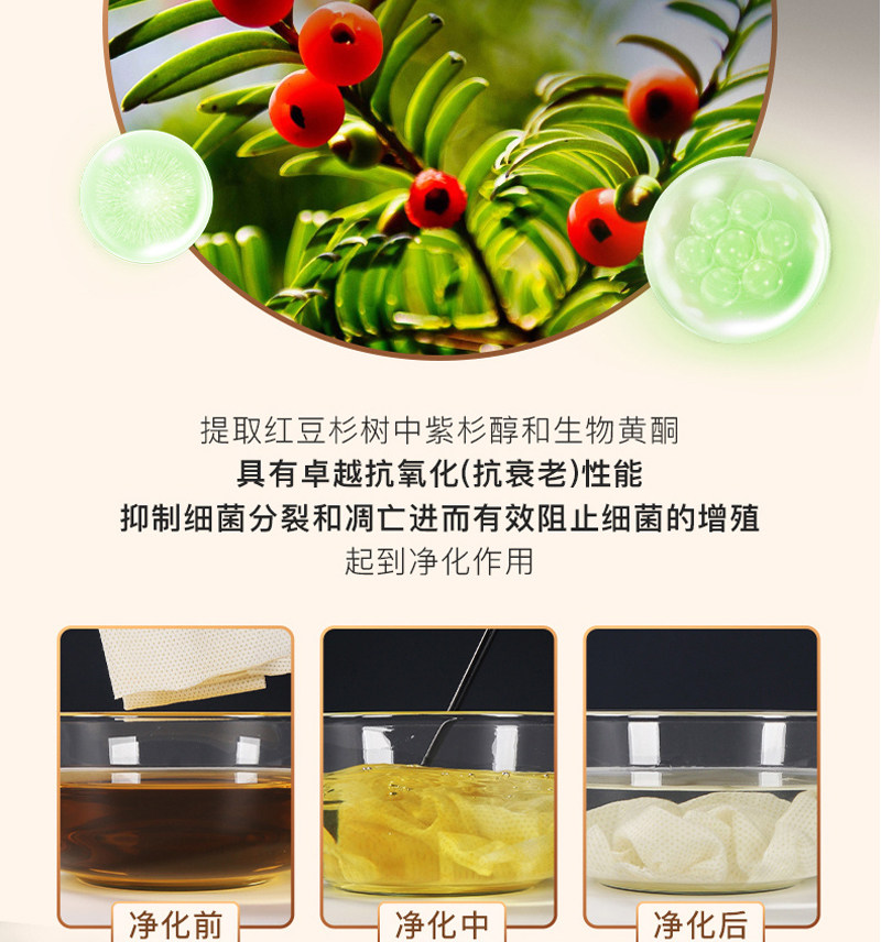 THREEGUN 三枪 紫杉醇净化抗菌裆 发热棉女式内裤 3条装 天猫优惠券折后¥59包邮(¥99-40)多色组合可选