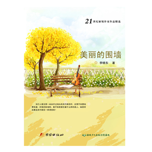 正版书籍21世纪新锐作家作品精选：美丽的围墙 作者李晓东的书 团结出版社 9787512620889书号开学季