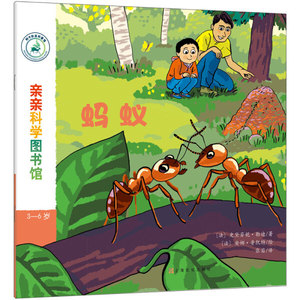 正版书籍蚂蚁 作者(法)史黛芬妮·勒迪著的书 上海文化出版社 9787553513607书号开学季