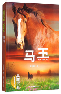 正版书籍影像青少版：典藏书系·马王 作者许廷旺的书 浙江摄影出版社 9787551420211书号开学季