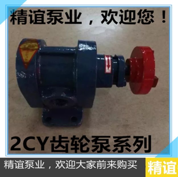High temperature gear pump 2CY-1 08 2 5 gear pump Self-priming pump Pumping pump Heavy oil pump Oil pump diesel pump
