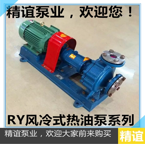 Высокотемпературный тепловой проводящий масляный насос Ry20-20-125 Устойчивость Специального насоса.