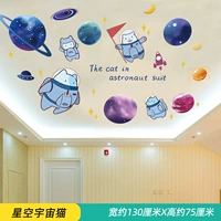 Звездное небо кот