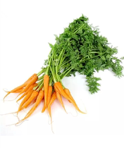 Fresh small carrots with leaf finger carrots 500g Beijing-Tianjin-Hebei arbitrary 6 pieces
