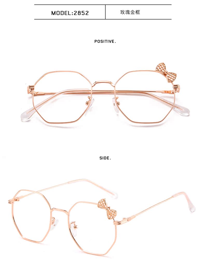 Montures de lunettes en Alliage cuivre-nickel - Ref 3139534 Image 24