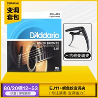 EJ11+ каподастр