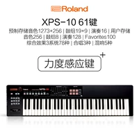 [Дом SF] XPS-10 (61 Кнопка для определения силы клавиши)+подарок