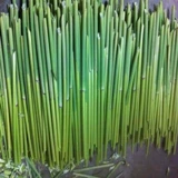 В 2019 году Anhui Wuhe New Film Dious Flute Film 5 упаковок общенациональных продуктов бесплатной доставки флейты тонкие и жесткие