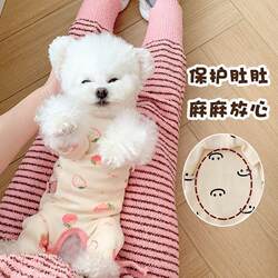 Pet Dog Velvet Clothes for Autumn and Winter, Warm and Cute Printed Four-Legged Outfit for Bichon, Teddy, Pomeranian, Base Layer Shirt for Spring and Autumn