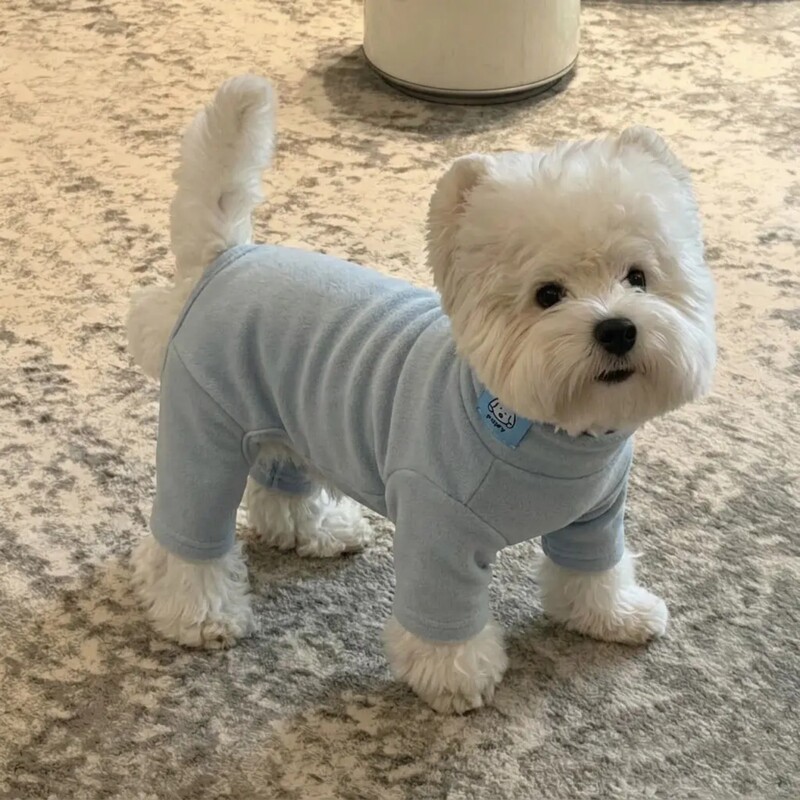 Dog Clothes Autumn and Winter New Warm Velvet One-Piece Four-Legged Outfit for Small Dogs West Highland Bichon Teddy Base Layer Shirt Dog Clothes Autumn and Winter New Warm Velvet One-Piece Four-Legged Outfit for Small Dogs West Highland Bichon Teddy Base Layer Shirt