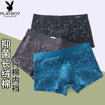 Playboy underwear mens summer thin cotton boxer youth middle waist antibacterial sports boxer pants head DX