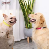 Домашние животные в стиле Doglemiin, двухколорная собачья шея кольцо плюшевые золотые волосы маленькие, средние большие собачьи собаки