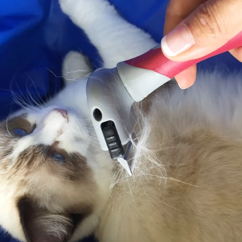 Doglemi Dalo Mi Pet Dog Dog Beauty Beauty Open Comb Serf -Cleaning Иглу с плюшевыми золотыми кошачьим расческом