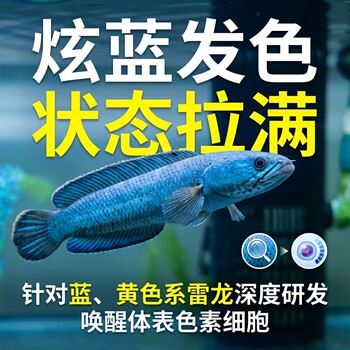 Mr. mo's genuine thunder dragon fish technology healthy aquarium feed high calcium color enhancement long sail ornamental fish feed