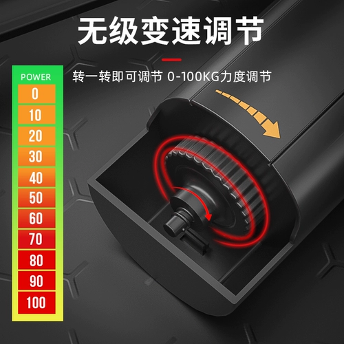 Групповые мышцы и брюшные мышцы и мышцы брюшной полосы