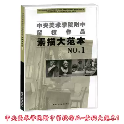 Central Academy of Fine Arts Attached to the middle school attached to the Central Academy of Fine Arts 1 Yangmei sketch plaster still life copy book Yangmei sketch teaching sketch still life Plaster Foundation copy sketch attached 60 years sketch plaster teaching