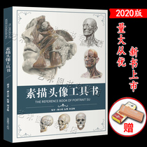 Sketch avatar reference book 2020 Lai Xiaoming Ruan Pan A teacher Skull muscle facial features form block structure analysis Complete picture Copy template Comparison Art College entrance examination joint examination textbook tutorial Art Academy album Characters