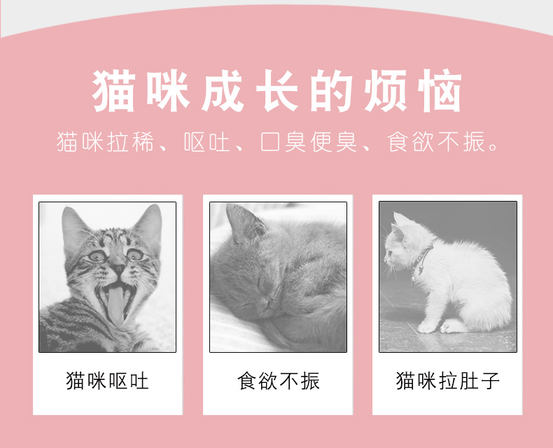 Thức ăn cho mèo vào mèo con 1-12 tháng Bánh sữa Anh mèo xanh ngắn Anh cá biển sâu hạt tự nhiên 5 kg tải 2,5kg10 - Cat Staples royal canin mèo
