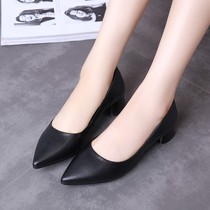 3 cm Low Heel Black Genuine Leather Working Shoes Woman Custard Coarse Heel High Heel High Heels Career Comfort Big Code 42 43