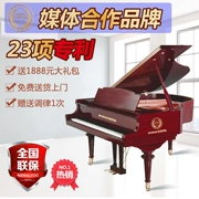 Đàn piano Pleyel grand Pháp mới 170HS nhập khẩu cấu hình cao cấp chuyên nghiệp quầy chính hãng hot!