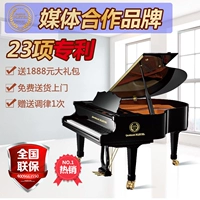 Thương hiệu Pháp Camille grand piano PM-170 phụ kiện nhập khẩu chuyên nghiệp chơi đàn piano mới visual piano