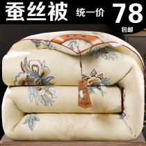 Silk Quilt 100 Mulberry Silk Cotton Quilt Core Winter Full Cotton Spring Autumn Winter Quilted By Single Person Double Thickening Warm Winter