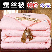 Four Seasons Quilt Silk Cotton Quilt Core Spring Autumn Air Conditioning Winter Full Cotton Winter Quilt Cotton Wool single double winter thickened warmth