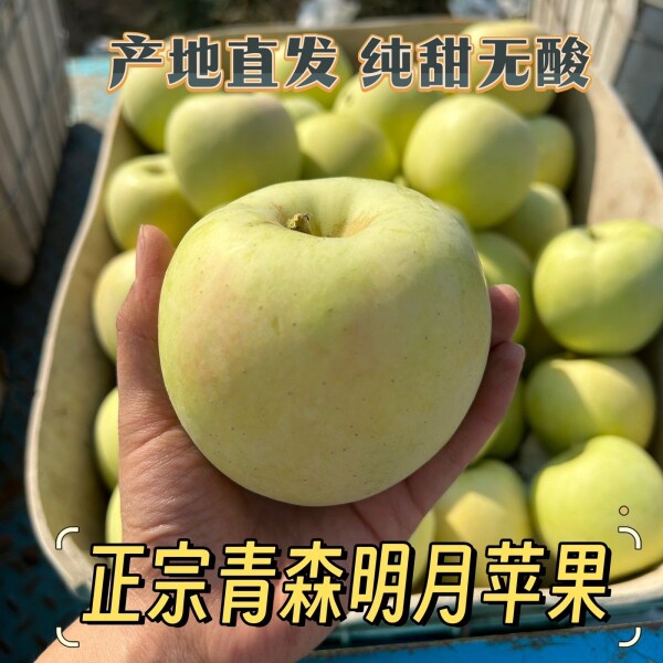 娜家苹果店的LOGO
