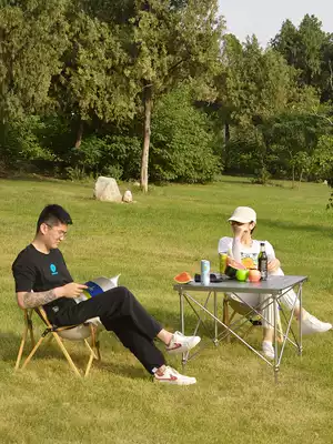 LTVT outdoor butterfly chair ultra light aluminum alloy folding camping Sky leisure director stool portable beach recliner