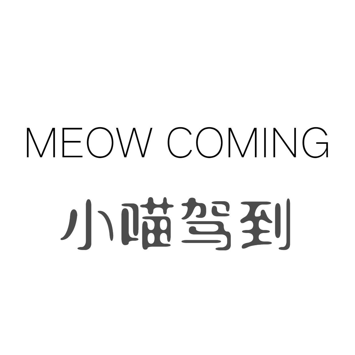 小喵驾到美妆店
