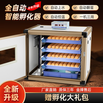 Incubator fully automatic household intelligent large-scale incubator incubator for chicken duck goose pigeon and peacock egg incubator