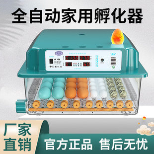 Люк Устройство небольшой домашнего типа автоматический умный люк яйцо цыпленок Рандер курица люк коробка яйца люк машина