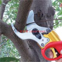 Xingli Electric Scissors 828 Charged Shears 4 5 Cm Branch Cut Fruit Tree High Branches Cut German Import Total Agent