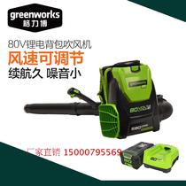 Gelibogreenworks BLB484 80V charging lithium electric back negative hair dryer