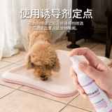 Собаки -индуктор собак, тренируясь в туалете в туалет