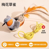 Сливы цветут и птицы [отправьте кошачья + подвесная веревка]