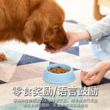 Собаки -индуктор собак, тренируясь в туалете в туалет