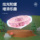 Игрушки для кошек, забавные палочки для кошек, игрушки-фрисби, самоделки, артефакты от скуки, игрушки-катапульты из бамбуковой стрекозы, котята и принадлежности для котят mini 3