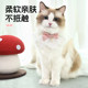 Cat bib cat collar saliva scarf New Year bib kitten clothes decoration kitten cat bow pet neck collar