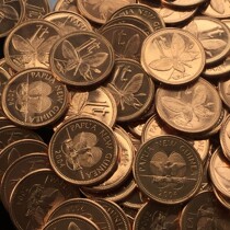 Papua New Guinea coins 1 ToyButterfly Animal coin year Random Oceania New volumes 1 of 1