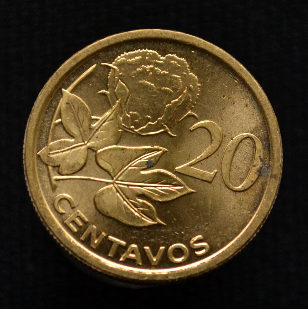 Mozambique 20 centime coin 2006 edition African plant coin foreign 19 5mm