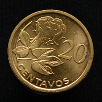 Mozambique 20 raw tin coins 2006 edition of African plant coins foreign 19 5 mm