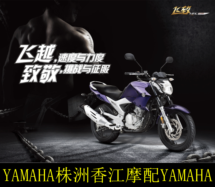 Yamaha YBR Tianjian Wang 250 bản gốc phuộc trước dầu giảm xóc trước giảm xóc dầu YS Feizhi 250 phớt dầu gốc - Xe máy Bumpers phuộc nhún sau xe future neo