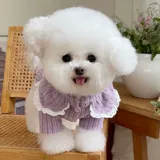 Демисезонный трикотажный свитер, кружевная кукла, кардиган, куртка, домашний питомец, осенний сезон, кукольный воротник