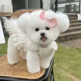 Одежда для домашних животных весна и лето Новая потоковая дышащая марля