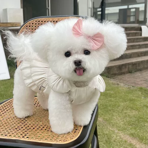 Одежда для домашних животных весна и лето Новая потоковая дышащая марля