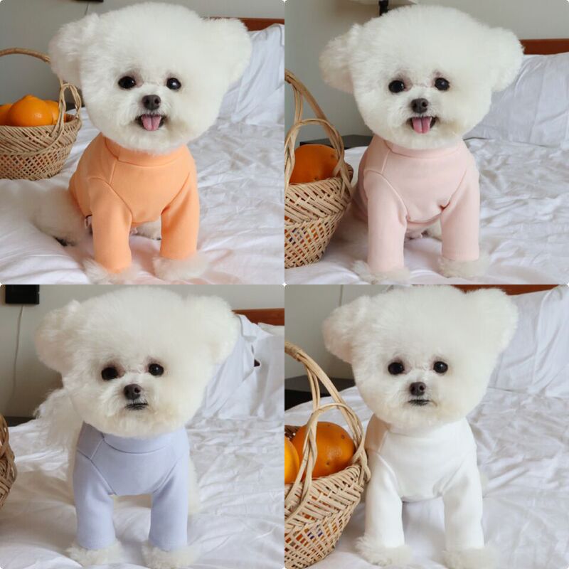 Pet Clothes Autumn and Winter New Candy-Colored Versatile Base Shirt Teddy Bichon Dog Cat Inner Wear Top