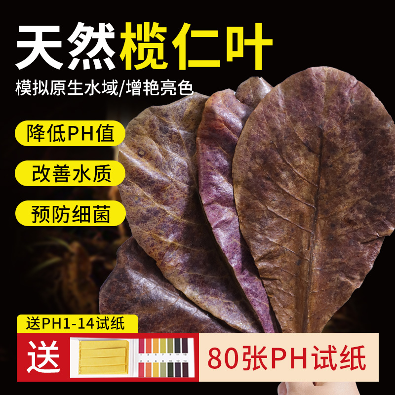 Natural Olive Leaves for Betta Fish Tank to Reduce Acidity and Adjust Ph, Aquarium Olive Leaves, Longan Leaves for Raising Turtles, Landscaping, Lazy Leaves